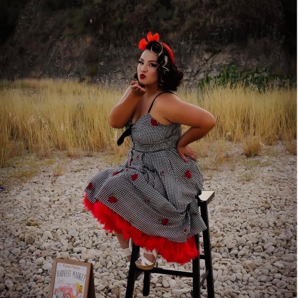 Unique vintage, black gingham with roses dress